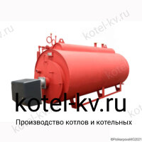 Газовый паровой котел Е 0.3 0.9